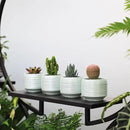 Mini Succulent Planter Set – 3.7 Inch Ceramic Pots with Drainage for Indoor Plants, Small Decorative Flower Pots for Cactus and House Plants, Set of 4 by CozyNest Decor