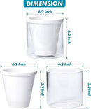 D'vine Dev 6 Inch Design Self Watering Planter for Indoor Plants, White Terracotta Pots with Cylinder Glass Cup, Set of 2, 37-Y-B-2 by GreenHaven Gardens