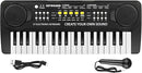 Kid Keyboard Piano - 37 Keys Piano Toys for Kids Beginners Electronic Pianos with Microphone Educational Musical Toy for 3 4 5 6 7 8 Year Old Boys Girls Gift by TinyTreasures Baby Boutique