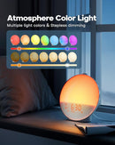 Sunrise Alarm Clock for Heavy Sleepers, Wake Up Light with Sunrise/Sunset Simulation, Dual Alarms & Natural Sounds, Snooze & Sleep Aid, FM Radio, 7 Colors Night Light for Bedroom, Ideal for Gift by TinyTreasures Baby Boutique