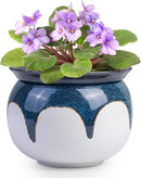 African Violet Pots, 6 inch Ceramic Easy Self Watering Plant Pot for Busy Plant Lovers, Automatically Absorb Appropriate Amount of Water, Flower Pot Indoor-Plants Not Included(Blue) by GreenHaven Gardens