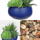 Fake Plants Artificial Succulents in Pots Faux Succulent Arrangement Potted Plant with Blue Ceramic Pot for Home Decor Modern Office Desk Bathroom Shelf Living Room Indoor & Outdoor Decoration by GreenHaven Gardens