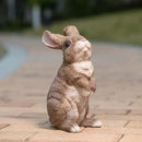 Bunny Statue Garden Statues Rabbit Figurines Decor Outdoor Polyresin Easter Decorations Bunnies Gifts Home House Kitchen Figurine Patio Lawn Yard Art Housewarming Funny Decoration 9.5inch by GreenHaven Gardens