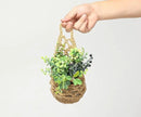 3PK Wall Planters for Indoor Plants, Macrame Plant Hanger | Wall Planter, Plant Hanger, Hanging Planter (3PK, for 4 inch Pot) by CozyNest Decor