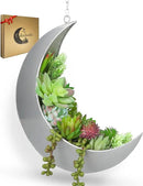 Hanging Moon Planter for Moon Room Decor - Great for Succulents, Air Plant, Mini Cactus, Faux, Artificial Plants-Boho Hanging Planters for Indoor Plants, Witchy Gifts for Women, Birthdays,Plant Lovers by GreenHaven Gardens