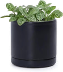 D'vine Dev 3.5 Inch Ceramic Planter Pot with Drainage Hole and Saucer, Indoor Cylinder Round Planter Pot, Black, 94-O-A-2 by GreenHaven Gardens