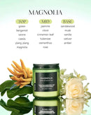 M&SENSE Magnolia Jasmine Scented Candle, 7.05oz 50 Hours Long Lasting Clean Non Toxic All Natural Soy Wax Candle for Relaxing & Stress Relief, 2 Wick Spring Fragrance Gifts for Home Decor by CozyNest Decor
