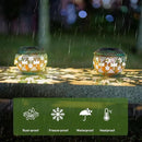 Starsoul 2 Pack Solar Lanterns Waterproof Outdoor, Dragonfly Hollow Out Metal Decoractive Hanging Solar Lantern Lights for Outside Garden Yard Porch Tabletop Patio Decor, Gardening Gifts for Women Mom by GreenHaven Gardens