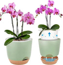 7.2 Inch Self Watering Orchid Pots for Indoor Plants,Macetas para Orqudeas,Flower Pots for Indoor Plants with Holes(Green) by GreenHaven Gardens