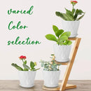 6 inch Plant Pots, 5 Pack Flower Pots Outdoor Indoor, Planters with Drainage Hole and Tray Saucer. by GreenHaven Gardens