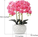 Orchid Artificial Flowers with White Vase Large Silk Faux Phalaenopsis Flowers for Dining Room Table Floral Centerpieces Indoor Decoration,Fuchsia by CozyNest Decor