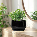 G EPGardening Ceramic Planter 7 Inch - Ceramic Pot for Plants with Drainage and Saucer, Round Plant Pots, Modern Indoor Outdoor Planter, Home Decor, Garden Gifts, Black by GreenHaven Gardens