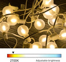 50Ft LED Outdoor Patio String Lights - Waterproof Globe Lights with 52 Shatterproof Frosted Bulbs, Connectable for Wedding, Party, Christmas & Garden Decor, Black Wire by TinyTreasures Baby Boutique