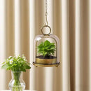 5"x7.5" Versatile Modern Metal Hurricane Lantern with Handmade Sturdy Glass Dome for 3" Pillar Candle & Plants (Brass, 5"x7.5" for 3" Pillar) by CozyNest Decor