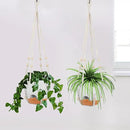 GARDIFE 8 Inch Hanging Planters with Macrame Plant Hanger for Indoor and Outdoor Plants, 2 Pack Large Self Watering Hanging Plant Pot with Basket Flower Pot with Drainage Hole, White by GreenHaven Gardens