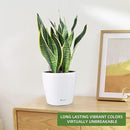 Dexceder 11x10 Inches High Gloss Self Watering Planter Indoor Outdoor, Inner Pot Design, Thickened Table Flower Plant Pot with Water Level Indicator (White) by CozyNest Decor