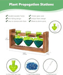 Nacome Plant Terrarium for Office Decor: Birthday Gifts for Plant Lovers Women Mom Wife - Wooden Stand Tabletop Planter 3 Bulb Glass Vase Heart Shaped for Hydroponics Indoor Home(Green) by CozyNest Decor