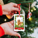 Personalized Christmas Ornament 2025 - Custom Dog Photo & Name, 1st Xmas Gift for Pet Lovers - Customized Dog Ornaments for Christmas Tree, Pet Memorial Gifts by TinyTreasures Baby Boutique