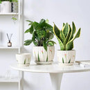 4/5/6 Inches Ceramic Plant Pots with Drainage Holes and Saucers, Round Flower Pots for Indoor Plant, Small Flower Planters Set of 3 (White Floral-Big Size) by CozyNest Decor