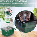 Self-Watering Seed Starter Tray - Kit with Grow Light and Humidity Dome, 6-Pack 72-Cell Plant Seedling Tray,Reusable Plastic Germination Trays for Indoor Gardening Seeds Growing Starting by GreenHaven Gardens