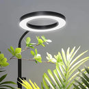 LORDEM Grow Light for Indoor Plants, Full Spectrum Plant Light with Auto Timer for 4/8/12H, 72 LEDs Growth Lamp with 4 Dimmable Levels, Height Adjustable Stand, Ideal for Tall Plants Growing by GreenHaven Gardens