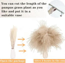 Dried Pampas Grass Decor, 120 PCS Pampas Grass with Bunny Tails Dried Flowers, Reed Grass Bouquet for Wedding, Boho Flowers, Home Table Decor, Rustic Farmhouse Party (White and Brown) by CozyNest Decor