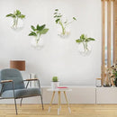 Pack of 6 Glass Planters Wall Hanging Planters Round Glass Plant Pots Hanging Air Plant Pots Flower Vase Air Plant Terrariums Wall Hanging Plant Container by GreenHaven Gardens