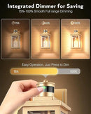 VIANIS Motion Sensor Exterior Lights for House, Dusk to Dawn Outdoor Light Fixture Lantern, Gold Waterproof Outdoor Motion Sensor Light for House, Doorway, Entryway, Garden, Hardwired, Non-Solar by GreenHaven Gardens