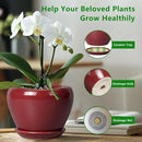 Ceramic Planter - 8 Inch Plant Pot Indoor with Drainage Hole and Saucer Planter for Outdoor Plants Round Flower Pot for House Patio Decor Red by GreenHaven Gardens