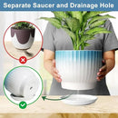8 Inch Plant Pot, Ceramic Planter with Drainage and Saucer, Ceramic Pots for Plants, Indoor Plant pots,Ceramic Flower pots(Blue + White, Plants NOT Included) by GreenHaven Gardens