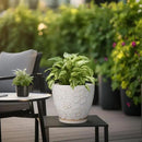 Ceramic Planter 8 Inch Plant Pot with Drainage Hole and Saucer Ceramic Pots for Indoor Plants Outdoor Large Flower Pot for Home Decor White by GreenHaven Gardens