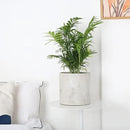 Plant Pots - 8.6 inch Cement Planters Indoor - Modern Grey Flower Pot with Drainage Hole - Home Office Decor by GreenHaven Gardens