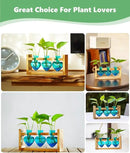 Nacome Plant Terrarium for Office Decor: Birthday Gifts for Plant Lovers Women Mom Wife - Wooden Stand Tabletop Planter 3 Bulb Glass Vase Heart Shaped for Hydroponics Indoor Home by CozyNest Decor