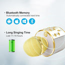 Microphone for Kids Voice Changer Karaoke Microphones Boy Girl Gifts Age 3-12 Portable Child Microphone Karaoke Kid Wireless Bluetooth Microphones Birthday by TinyTreasures Baby Boutique