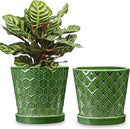 BUYMAX Plant Pots Indoor –6 inch Ceramic Flower Pot with Drainage Hole and Ceramic Tray - Gardening Home Desktop Office Windowsill Decoration Gift, Set of 2(Patina) by GreenHaven Gardens