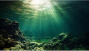 Under The Sea Aquarium Background Underwater Fish Tank Background Ocean Floor Rock Cave Sunray Terrarium Backgrounds Tropical Fish Ocean World Aquarium Reptile Tank Backgrounds 48x18in