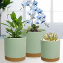 3 Pack 6/5/4 inch Cylindrical Flower Pots, Modern Small Round Plastic Plant Pots with Drainage Holes & Saucers, Clean and Refined Planter Pots for Outdoor, Indoor & Office Decor (Green Brown) by GreenHaven Gardens