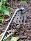 TOYPOPOR New Weeding Artifact Uprooting Weeding Tool, 16" Weed Puller, 4 Teeth Manganese Steel Forged Hand Pulling Weeder for Garden Yard Farm Weed Removal by GreenHaven Gardens