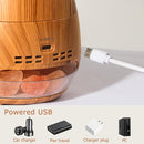 Ultrasonic Essential Oil Diffuser with Himalayan Salt Rock,Flame Diffuser with 2 Color Light,Small Aromatherapy Oil Diffuser with Auto Off Function for Home, Office,Spa,100ML,Wooden Grain by TinyTreasures Baby Boutique