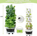 Hydroponic System Kit, Hydroponic Vertical Garden, Lettuce & Herb Starter Kit, with 36 Plant Holes, 9-Tier Indoor Outdoor Growing Tower with Climbing Trellis and Timer by GreenHaven Gardens