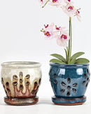 vensovo 4 Inch Ceramic Orchid Pots with Holes and Saucers - 2 Pcs Small Succulent Pot for Repotting, Garden Flowerpots for Plants Indoor and Outdoor Promotes Air Circulation (Blue, Brown Mixed) by GreenHaven Gardens