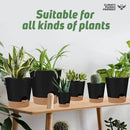 Indoor Self Watering Planters with Drainage Holes and Saucers, 8, 7, 6.5, 6, 5.5, 5 Inches, Black, 6 Pots by GreenHaven Gardens