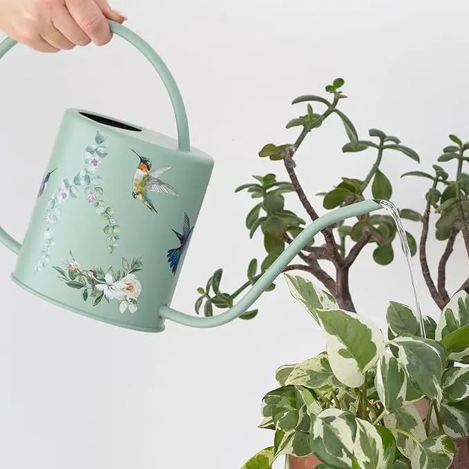 Watering Can for Indoor House Plants - Cute Decorative Metal Gardening Small Water Can for Houseplants & Flowers with Long Spout - 1.5L 51floz 0.4 Gallon (Hummingbird Sage), photo 2 of 6