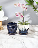 vensovo 4 Inch Ceramic Orchid Pots with Holes and Saucers - 2 Pcs Small Succulent Pot for Repotting, Garden Flowerpots for Plants Indoor and Outdoor Promotes Air Circulation (Blue, Blue Mixed) by GreenHaven Gardens