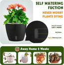 Self Watering Pots for Indoor Plants, 12-Pack 5'' Self Watering Planter with Drainage Holes, Small African Violet Pots with Water Level Indicator, Clear Wick Pot, Black by CozyNest Decor