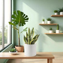 Docrin Ceramic Planters Indoor, 8 Inch Plant Pot with Drainage Holes for Home/Office - White Honeycomb by GreenHaven Gardens