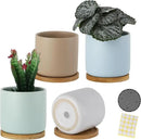 4 Inch Planters with Drainage Hole and Saucer, Small Ceramic Cylinder Plant Pot with Trays for Succulent, Aloe, Cactus & Herbs, Morandi Colors, Set of 4 by GreenHaven Gardens
