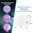 100Pcs Prepared Microscope Slides Set Professional Specimens for Kids Student Homeschool Use by TinyTreasures Baby Boutique
