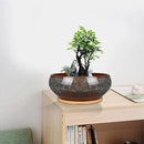8 Inch Ceramic Bonsai Planter Pot, Glazed Shallow Succulent Planter with Drainage Hole and Bamboo Saucer for Indoor Plants, Brown by GreenHaven Gardens