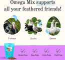 Grubbly Farms Omega Mix Chicken Treats for Laying Hens - Superfood and Omega-Rich Chicken Feed Supplement to Support Egg Production, Strong Eggshells and Nutritious Yolks - 1LB by GreenHaven Gardens